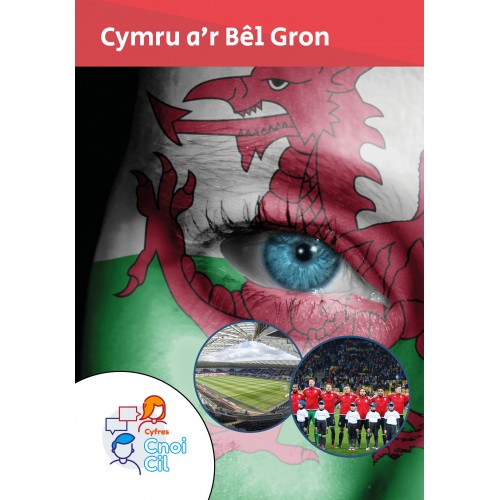 Delwedd ar gyfer Cnoi Cil: Cymru a'r Bêl Gron / Image for Cnoi Cil: Cymru a'r Bêl Gron