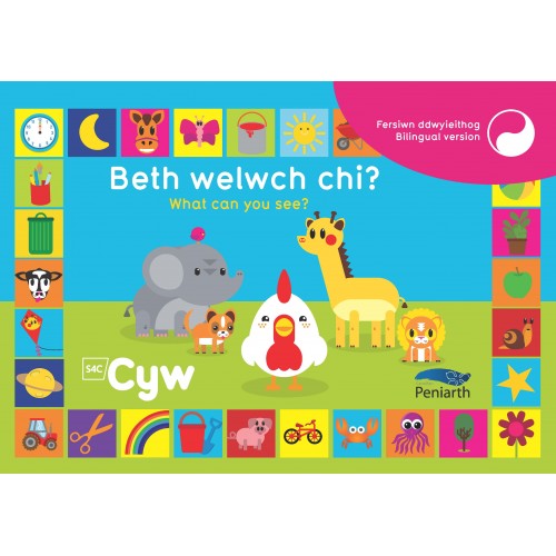 Delwedd ar gyfer Beth welwch chi? | What can you see? / Image for Beth welwch chi? | What can you see?