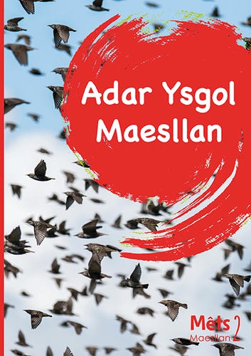 Delwedd ar gyfer Mêts Maesllan 2: Adar Ysgol Maesllan / Image for Mêts Maesllan 2: Adar Ysgol Maesllan