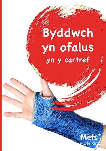 Delwedd ar gyfer Mêts Maesllan 2: Byddwch yn ofalus yn y Cartref / Image for Mêts Maesllan 2: Byddwch yn ofalus yn y Cartref