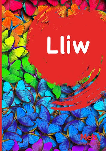 Delwedd ar gyfer Mêts Maesllan 2: Lliw / Image for Mêts Maesllan 2: Lliw