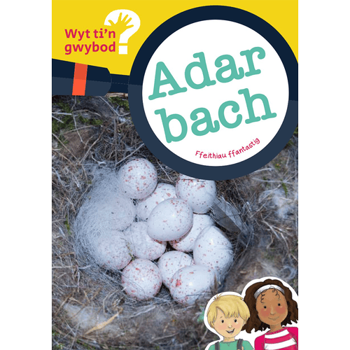 Delwedd ar gyfer Wyt ti'n gwybod? Adar bach / Image for Wyt ti'n gwybod? Adar bach