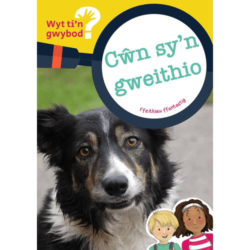 Delwedd ar gyfer Wyt ti'n Gwybod? Cŵn sy'n gweithio / Image for Wyt ti'n Gwybod? Cŵn sy'n gweithio