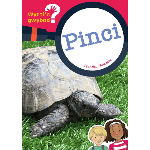 Delwedd ar gyfer Wyt ti'n Gwybod? Pinci / Image for Wyt ti'n Gwybod? Pinci