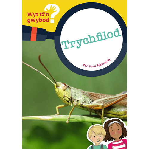 Delwedd ar gyfer Wyt ti'n Gwybod? Trychfilod / Image for Wyt ti'n Gwybod? Trychfilod