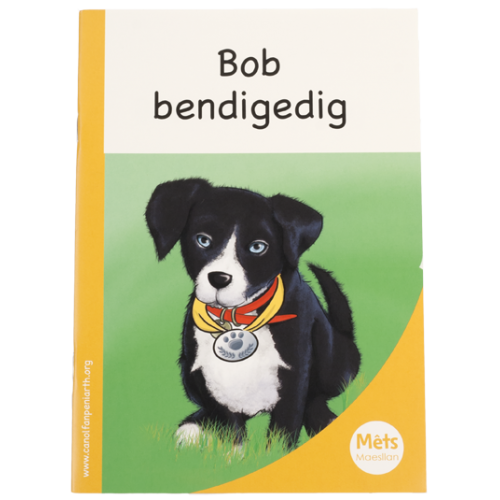 Delwedd ar gyfer Mêts Maesllan: Bob bendigedig / Image for Mêts Maesllan: Bob bendigedig