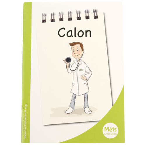 Delwedd ar gyfer Mêts Maesllan: Calon / Image for Mêts Maesllan: Calon