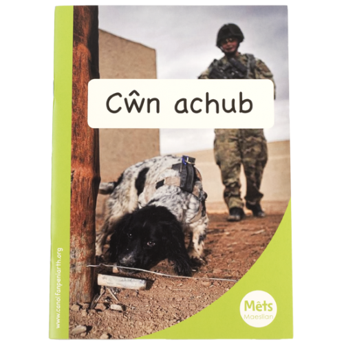 Delwedd ar gyfer Mêts Maesllan: Cŵn achub / Image for Mêts Maesllan: Cŵn achub