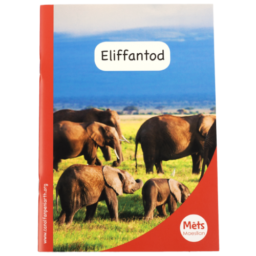 Delwedd ar gyfer Mêts Maesllan: Eliffantod / Image for Mêts Maesllan: Eliffantod