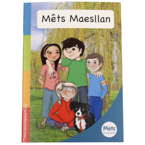 Delwedd ar gyfer Mêts Maesllan - Llyfr rhagarweiniol / Image for Mêts Maesllan - Llyfr rhagarweiniol