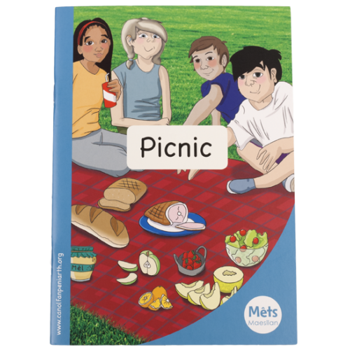 Delwedd ar gyfer Mêts Maesllan: Picnic / Image for Mêts Maesllan: Picnic