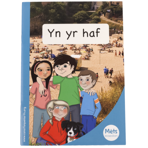 Delwedd ar gyfer Mêts Maesllan: Yn yr haf / Image for Mêts Maesllan: Yn yr haf
